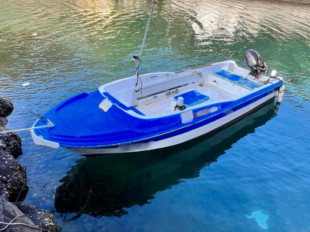 売れました❗️船 プレジャーボート ヤンマー24ft