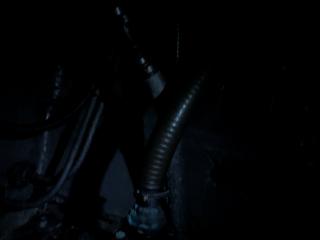 ASIAN CRAFT(CEB)INC 旅客定員72名19トン客船フェリー