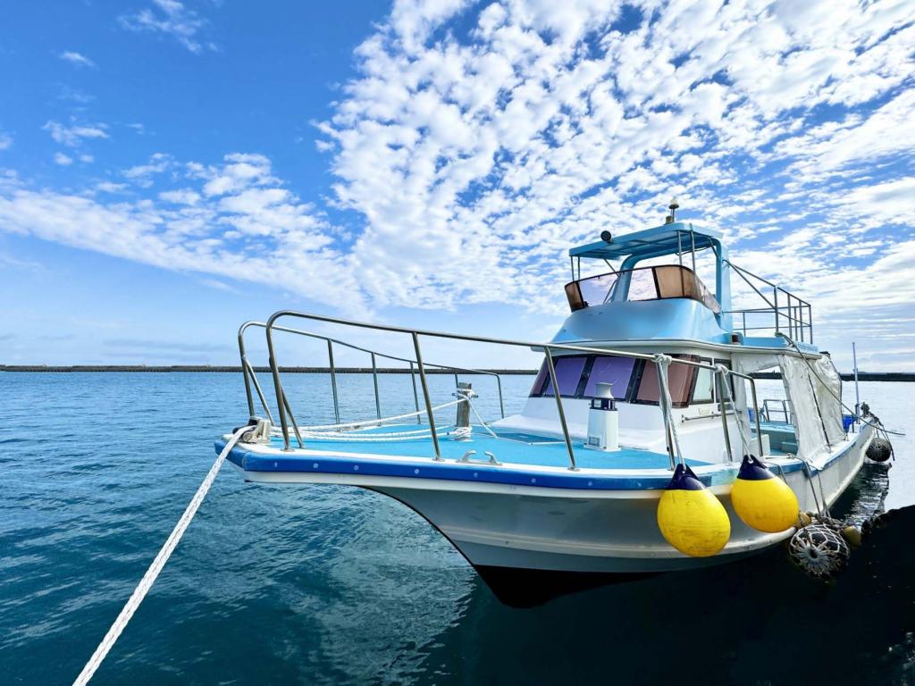 浜本造船所 503WJダイビング | 中古船ソーマッチ 浜本造船所 503WJダイビング | 中古船ソーマッチ