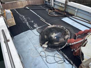 ヤマハ 底引き網魚船50フィート