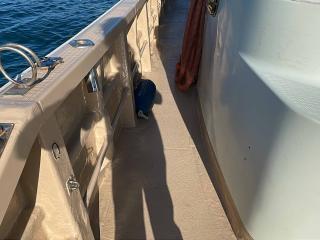 ヤンマー DE40カスタム