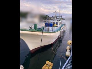 御前崎造船 御前崎造船 漁船