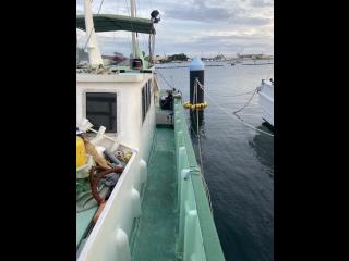 御前崎造船 御前崎造船 漁船