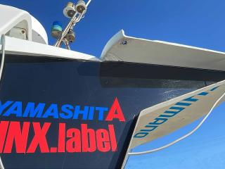 ヤンマー DE40カスタム