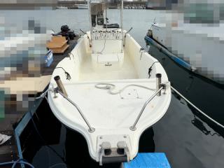 スズキ シージョイ FF230