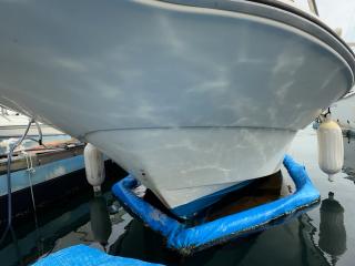 スズキ シージョイ FF230