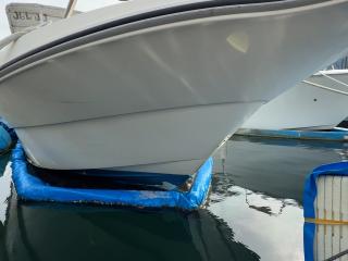 スズキ シージョイ FF230