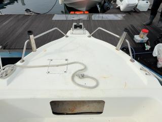 スズキ シージョイ FF230