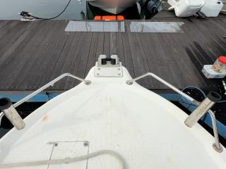 スズキ シージョイ FF230