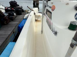 スズキ シージョイ FF230