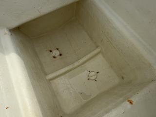 スズキ シージョイ FF230