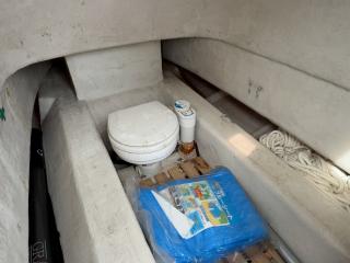 スズキ シージョイ FF230