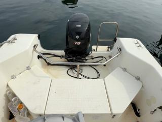 スズキ シージョイ FF230