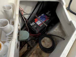 スズキ シージョイ FF230