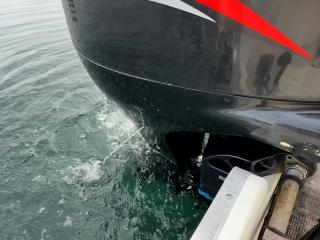 スズキ シージョイ FF230