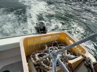 ヤンマー とびうおDE24DZ