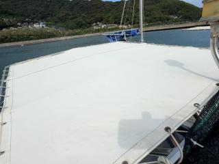 ヤンマー とびうおDE24DZ