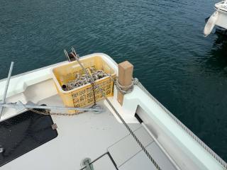 ヤンマー とびうおDE24DZ