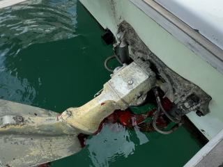 ヤンマー とびうおDE24DZ