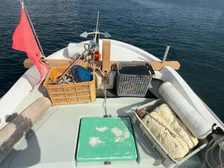 ヤンマー とびうおDE26GZ