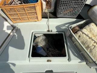 ヤンマー とびうおDE26GZ