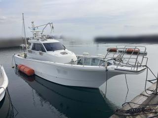 ヤンマー EX46HT-BS