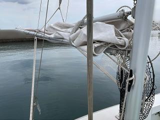 ヤンマー EX46HT-BS