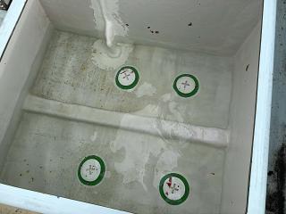 ヤンマー EX46HT-BS