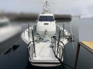 ヤンマー EX46HT-BS