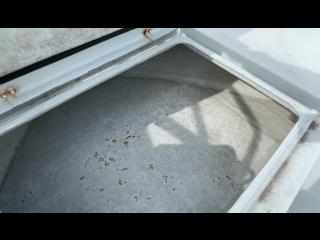 ヤンマー EX46HT-BS