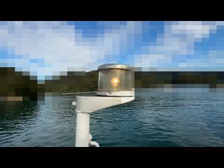 バンビ（株） BFK21