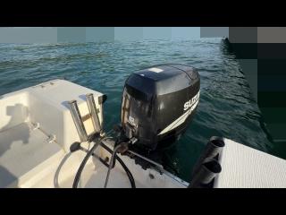 バンビ（株） BFK21