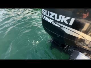 バンビ（株） BFK21