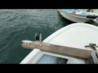 ヤンマー とびうおDE22Z