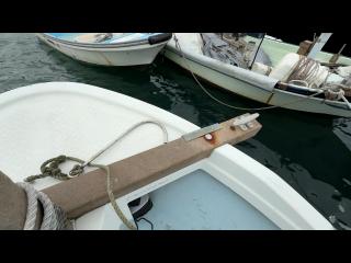 ヤンマー とびうおDE22Z