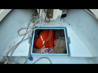 ヤンマー とびうおDE22Z