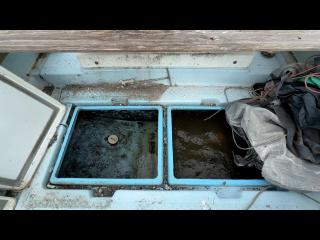 ヤンマー とびうおDE22Z