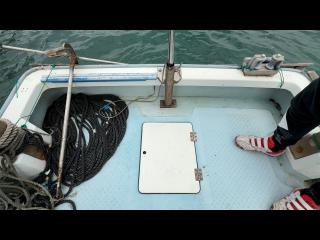 ヤンマー とびうおDE22Z