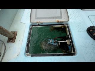 ヤンマー とびうおDE22Z