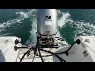 ニッサン ウィングフィッシャー21