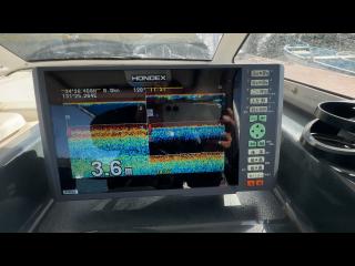 ニッサン ウィングフィッシャー21