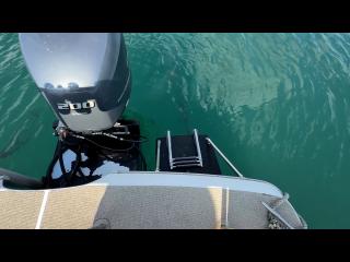 ヤマハ UF-28船外機仕様