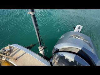 ヤマハ UF-28船外機仕様