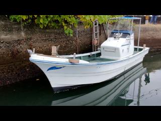 ヤンマー とびうお DE24CZ II