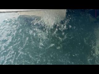 ヤンマー とびうお DE24CZ II