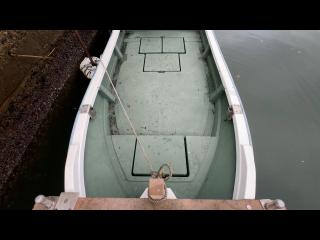 ヤンマー とびうお DE24CZ II