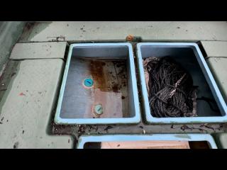 ヤンマー とびうお DE24CZ II