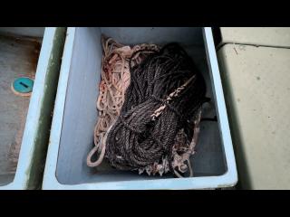 ヤンマー とびうお DE24CZ II