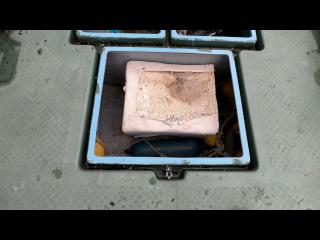 ヤンマー とびうお DE24CZ II