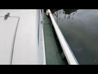 ヤンマー とびうお DE24CZ II